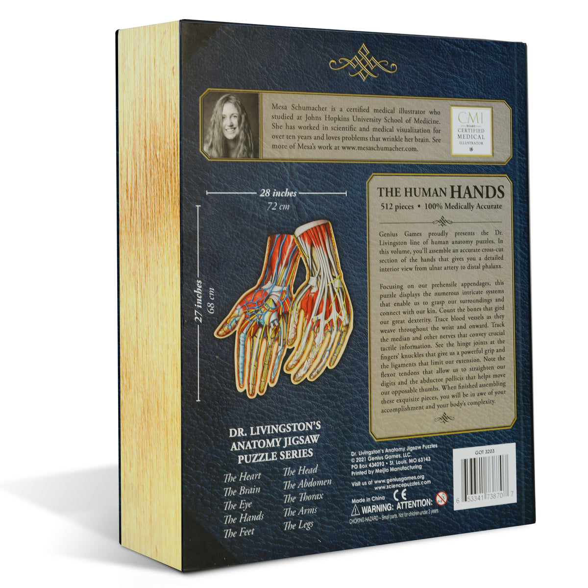 Back of a Dr. Livingston&#39;s Anatomy Jigsaw Puzzle box, featuring a detailed illustration of human hands
