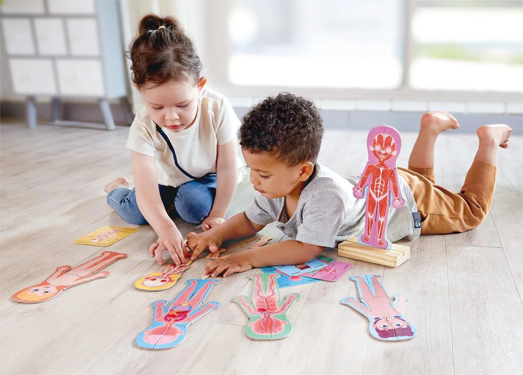 Two children intently play with colourful human anatomy puzzles on the floor; one model stands upright.