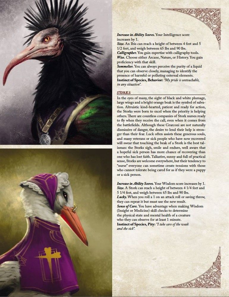 A fantasy page showing an Ibis-humanoid with a spiky crest and a Stork-humanoid in purple robes