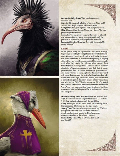 A fantasy page showing an Ibis-humanoid with a spiky crest and a Stork-humanoid in purple robes