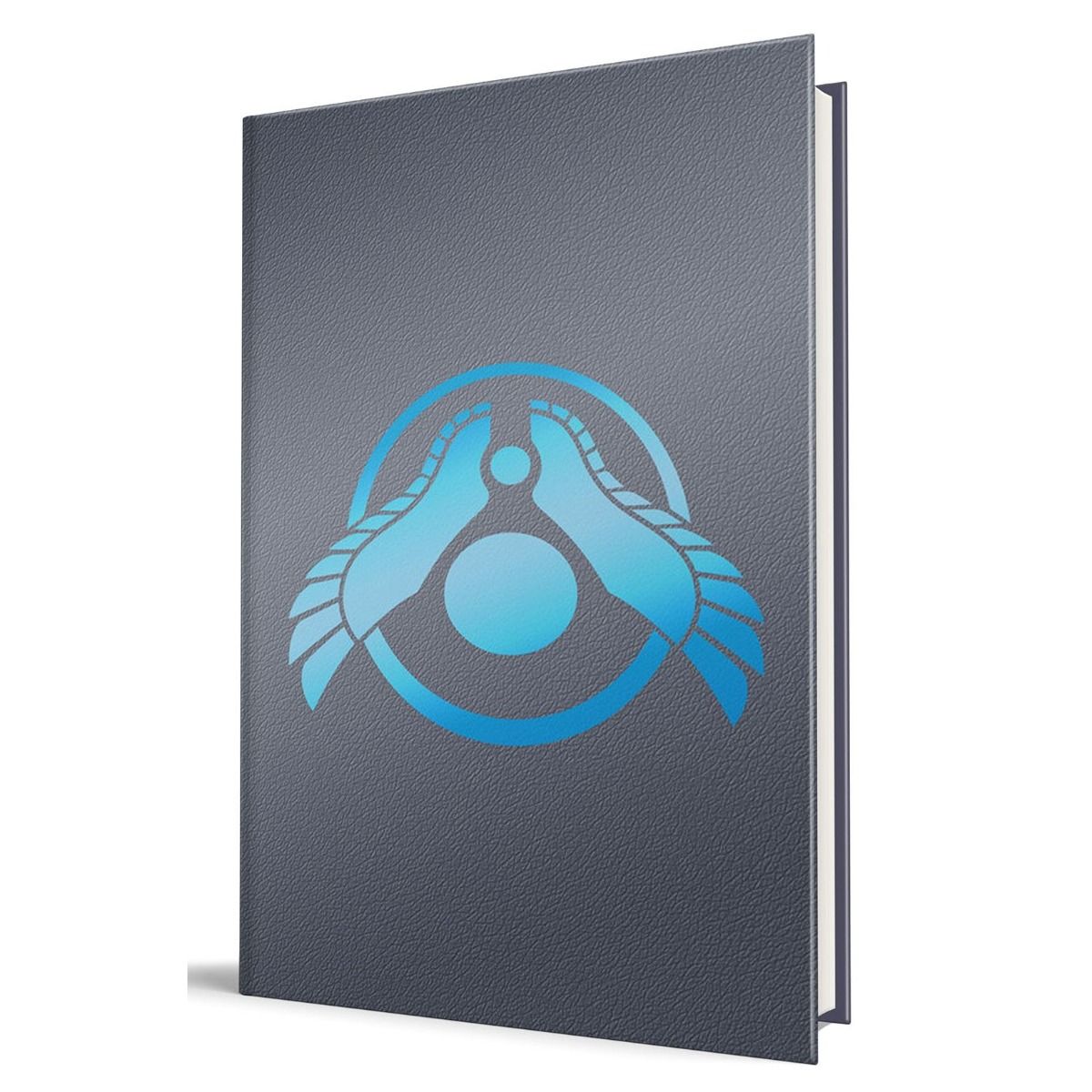 Dark gray textured book cover featuring a blue logo of two stylized feet framing a small and large circle, within an open ring