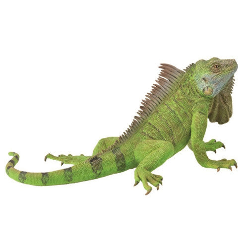 Collecta Iguana (Xl) - Good Games