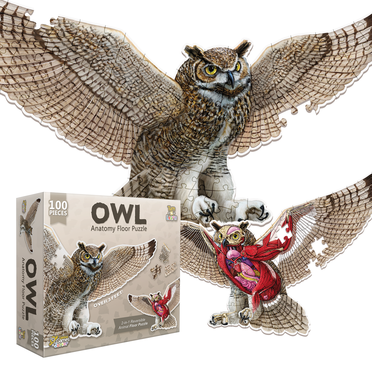 Large reversible owl anatomy floor puzzle, showing its feathered exterior and internal organs, next to its 100-piece box