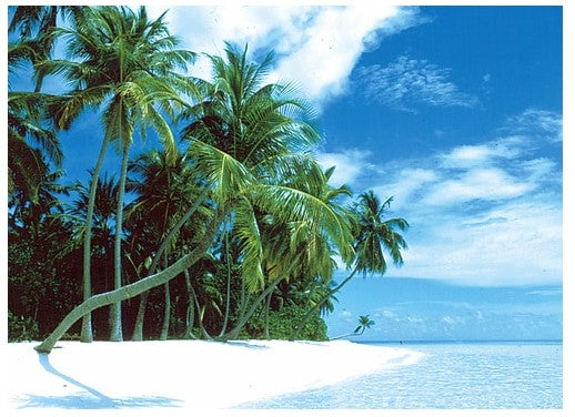 Island Of Peace 500 Piece- Tomax Jigsaw Puzzle - Good Games