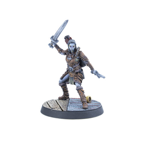 Elder Scrolls Call to Arms - Adventurer Followers - Good Games