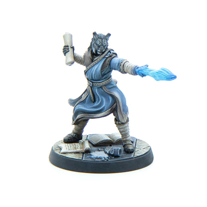 A miniature feline mage in blue robes holds a scroll and casts blue magic