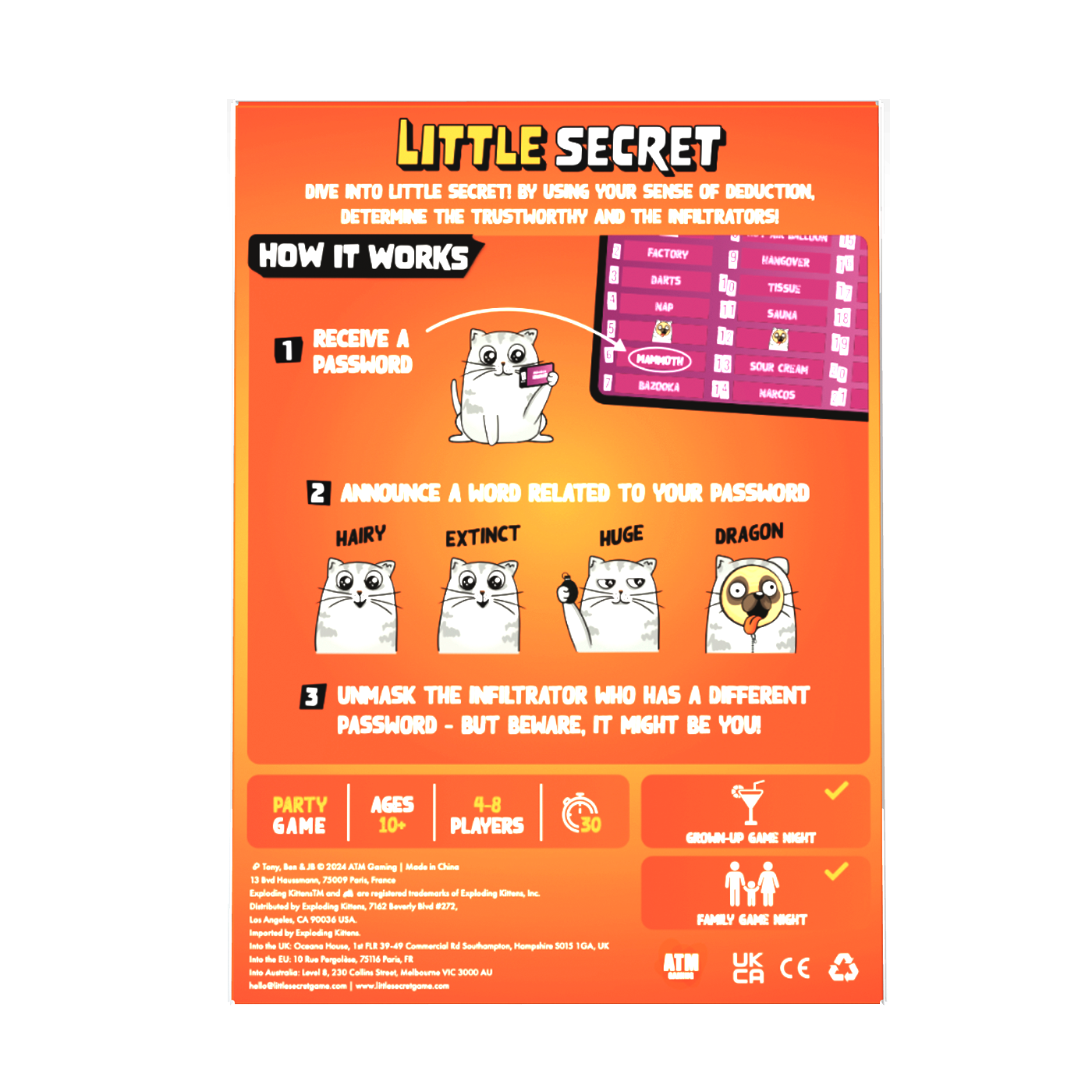 Back view of Little Secret game packaging with game details