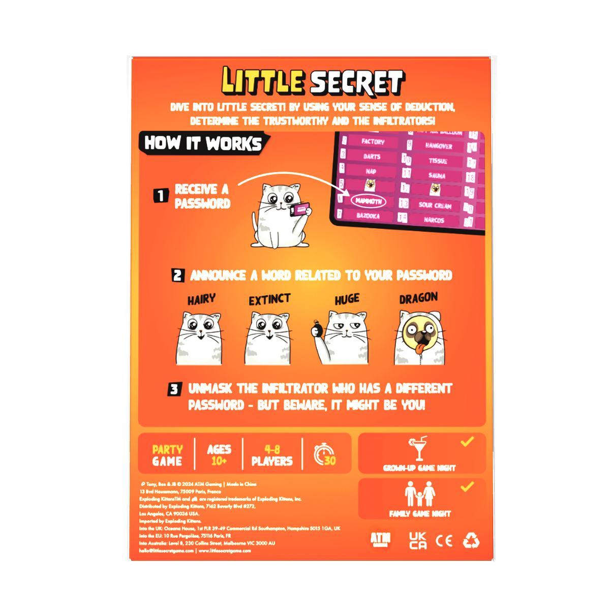 Back view of Little Secret game packaging with game details