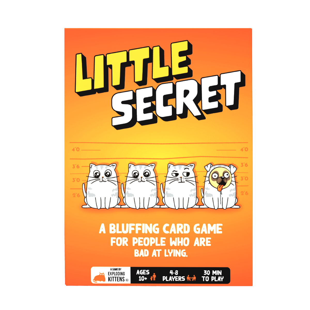 Front view of Little Secret game packaging