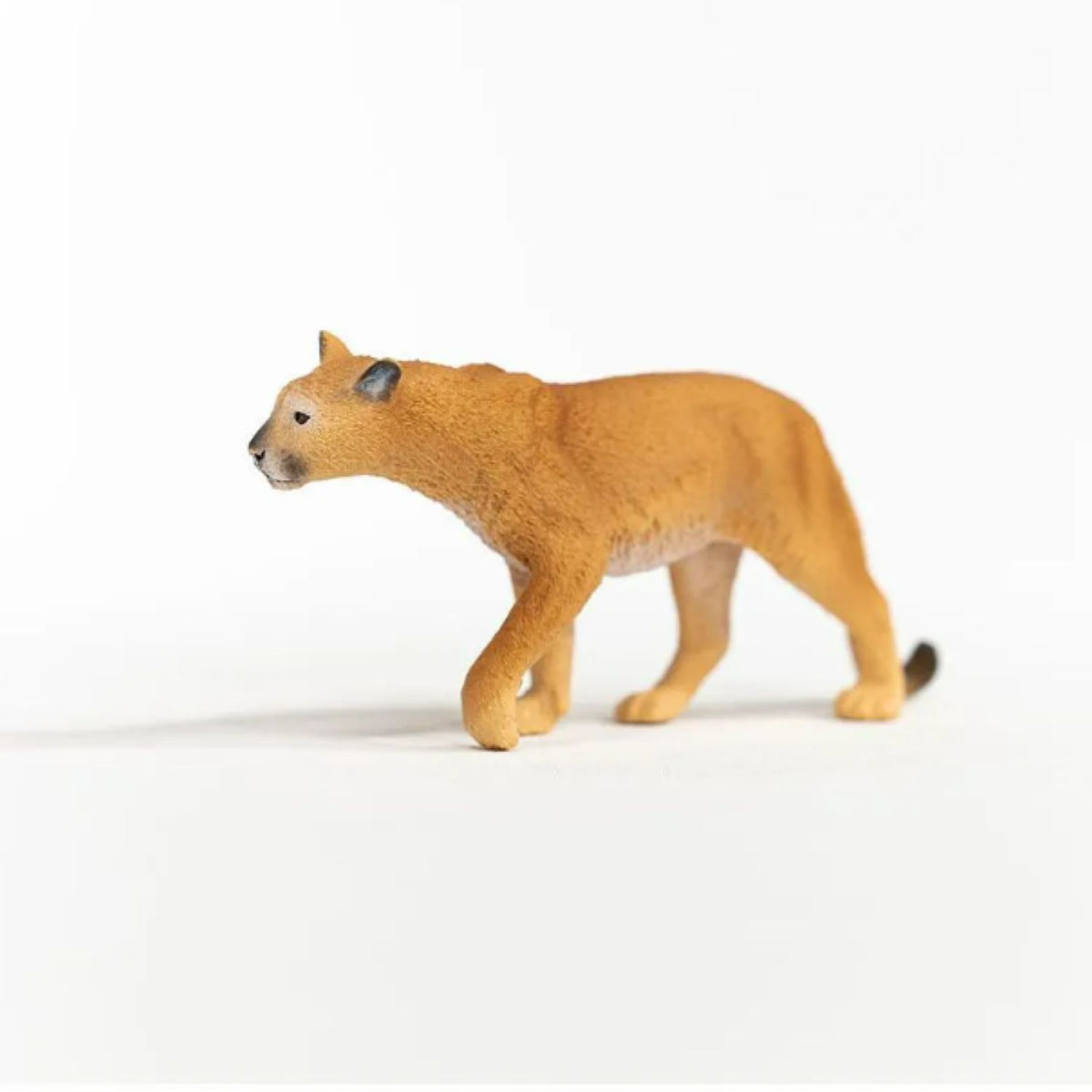 Schleich - Cougar