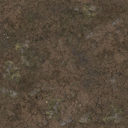 Cracked brown ground with patches of green moss, small stones, and damp areas.