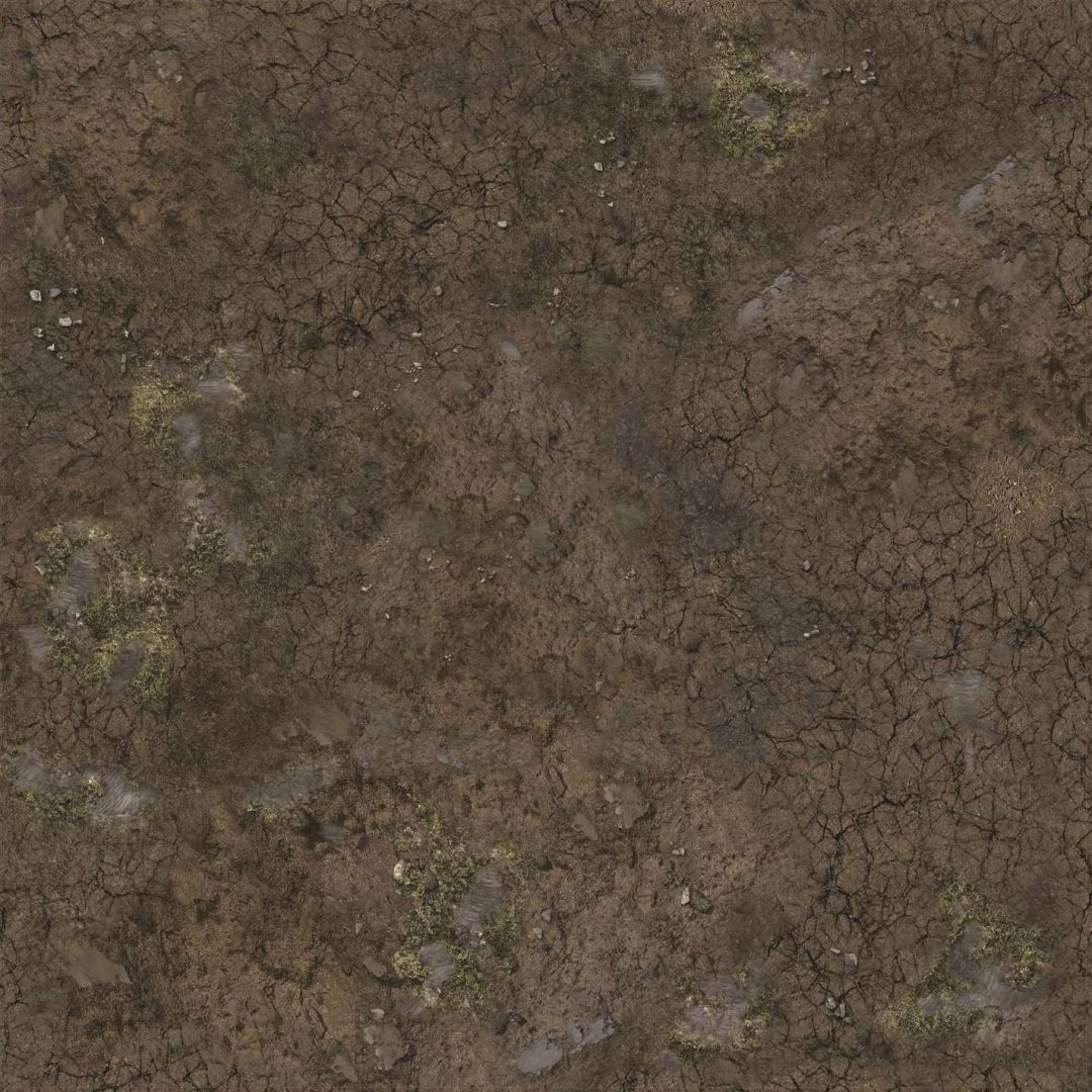 Cracked brown ground with patches of green moss, small stones, and damp areas.