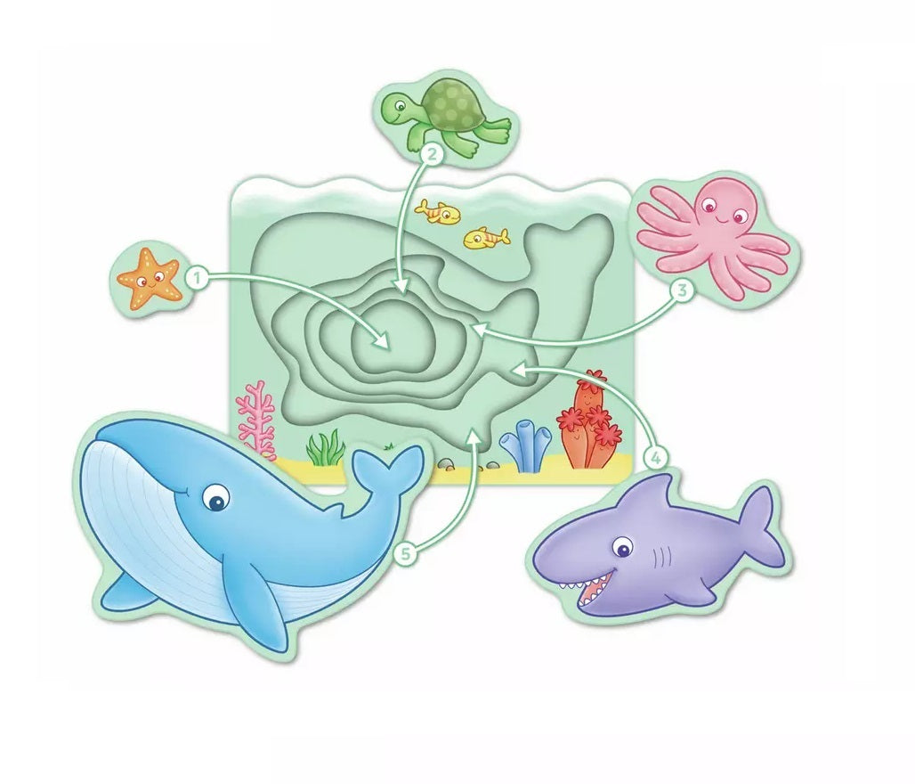 Cartoon ocean animals (whale, shark, octopus, turtle, starfish) connected by arrows to different ocean layers