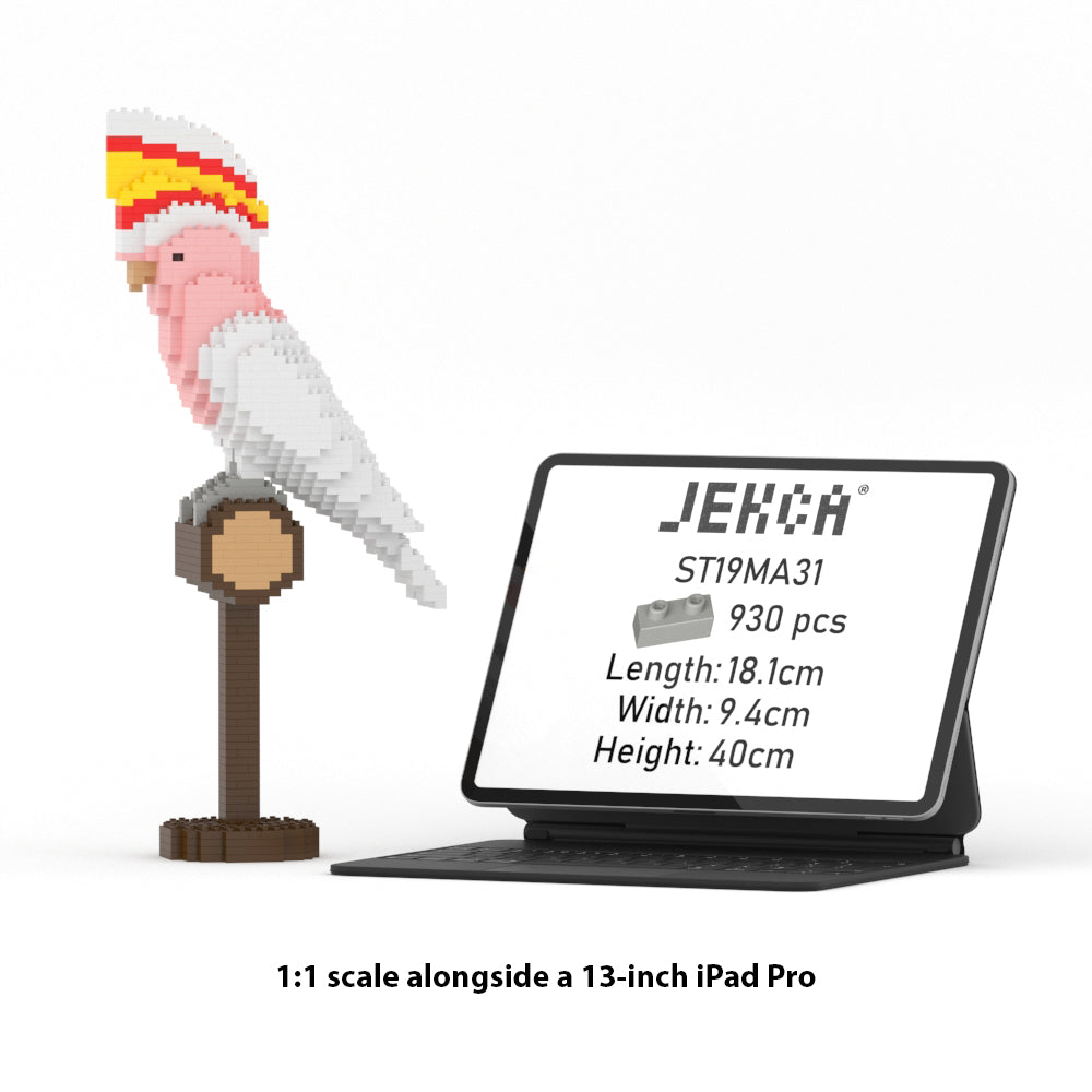 Pink and white block cockatoo model, 1:1 scale, next to an iPad Pro displaying product specs