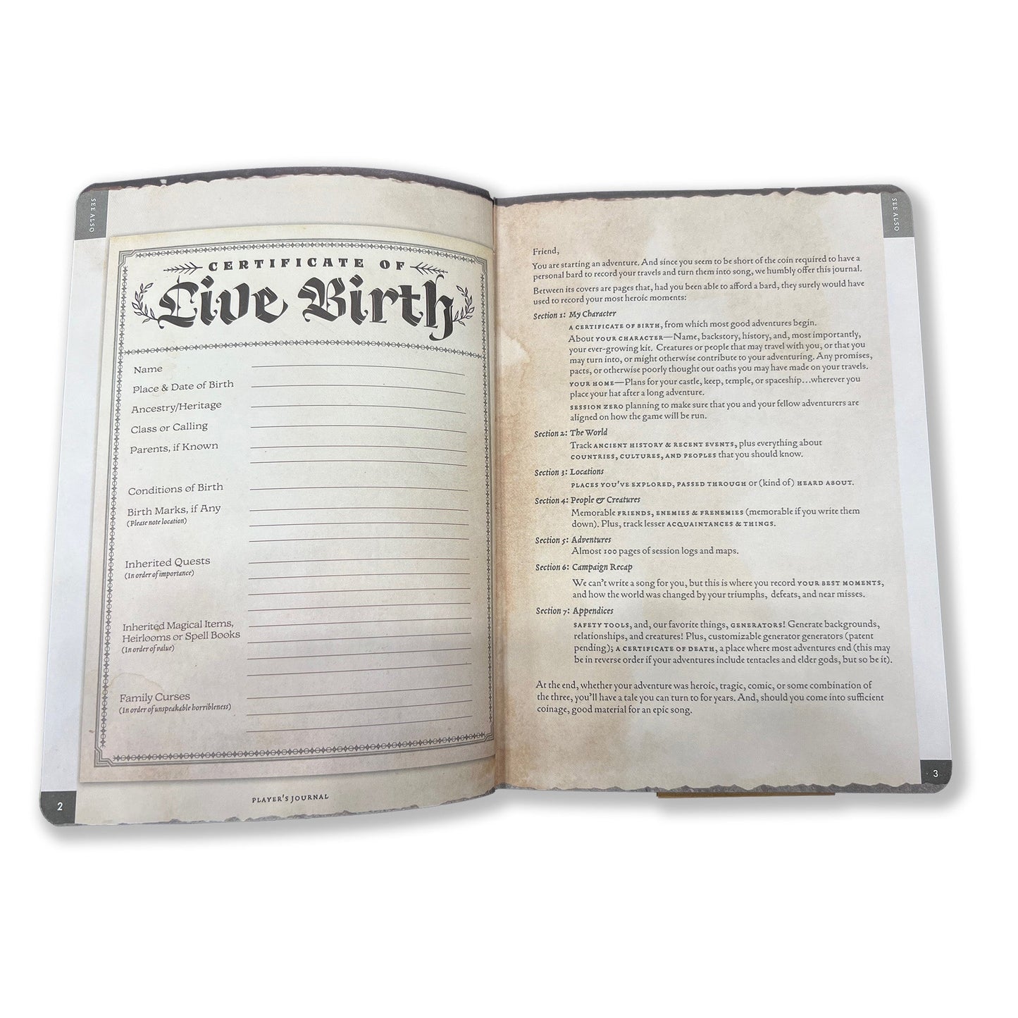 Beadle & Grimm's - Player's Journal - Sage Green Shield Cover - Good Games