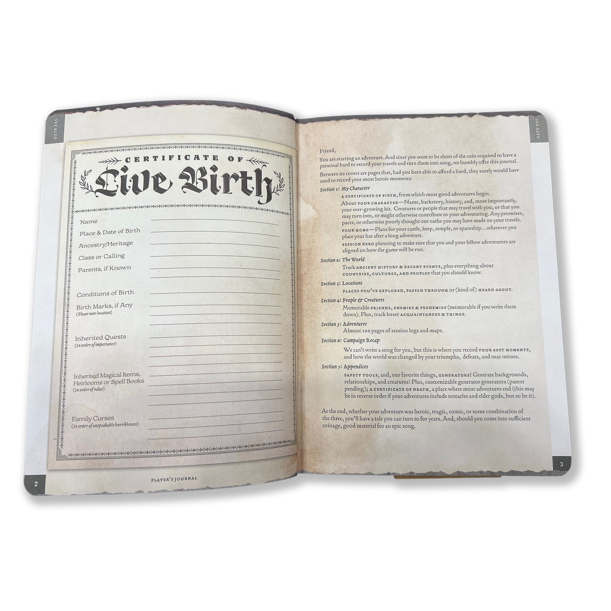 Beadle & Grimm's - Player's Journal - Sage Green Shield Cover - Good Games