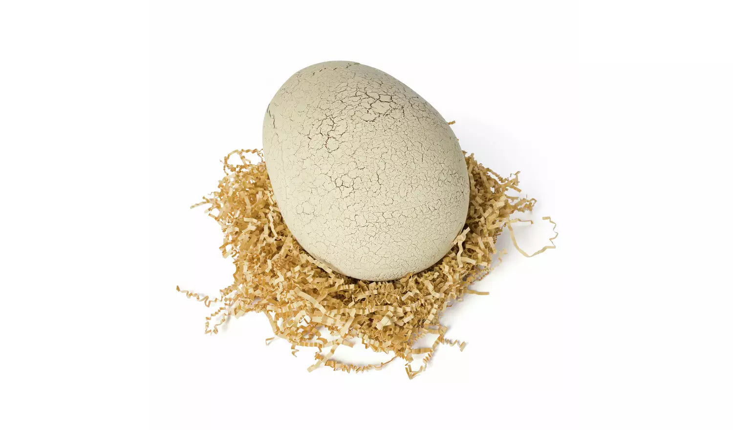 Large, off-white egg with a crackled texture, resembling a dinosaur egg, nestled in shredded brown paper on a white background