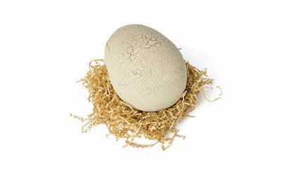 Large, off-white egg with a crackled texture, resembling a dinosaur egg, nestled in shredded brown paper on a white background