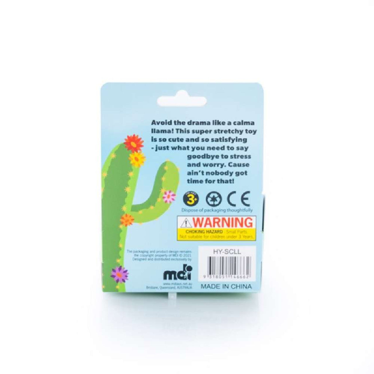 Back view of a toy package featuring a cartoon cactus, product description, safety warnings, and barcode
