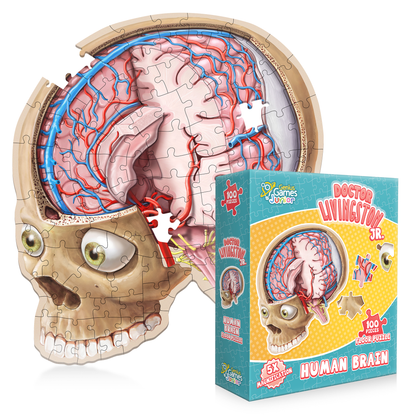 Genius Games Dr. Livingston Jr. Human Brain Floor Puzzle - 100 piece Jigsaw - Good Games
