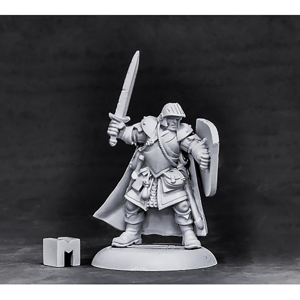 Reaper Dungeon Dwellers Baran Blacktree Veteran Warrior plastic - Good Games