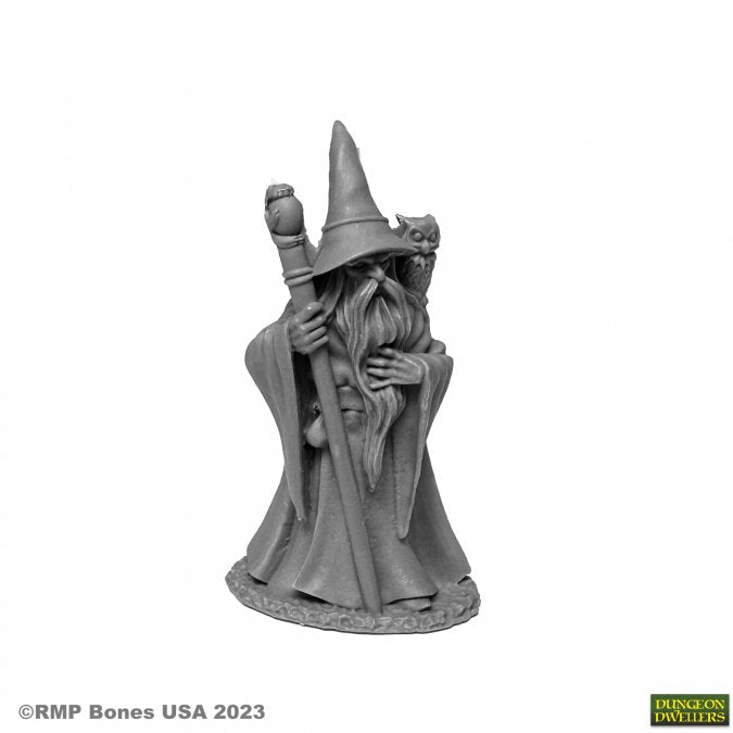 Reaper - Dungeon Dwellers - Anuminar Winterbeard, Wizard
