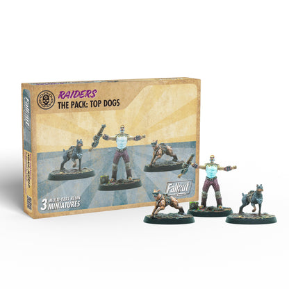 A box with three resin figures: a human raider and two dogs