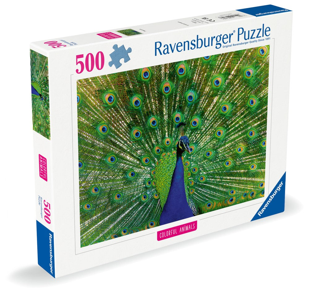 Vibrant peacock fanning its iridescent blue-green tail on a 500-piece Ravensburger puzzle box