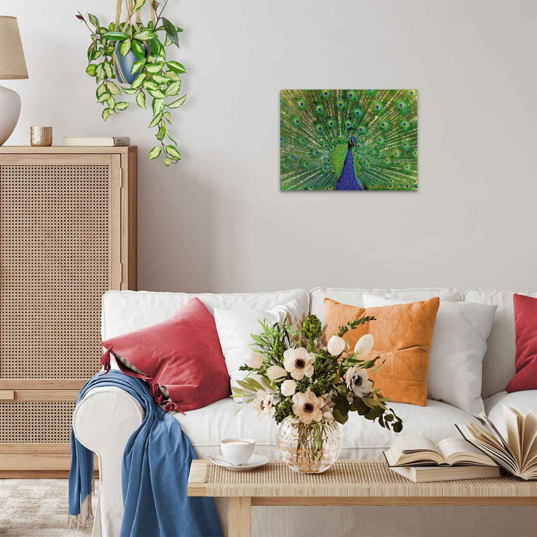 A framed art print of a peacock with an iridescent green-blue tail fully fanned, on a wall in a living room