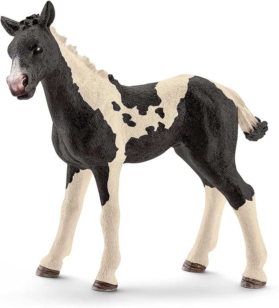 Schleich - Pinto Foal - Good Games