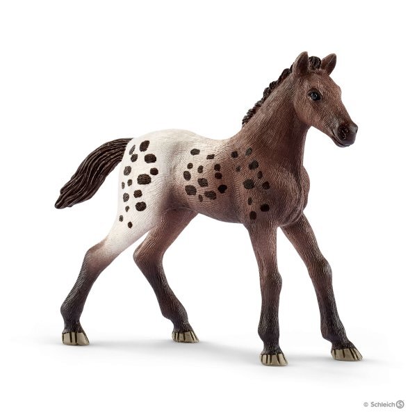 Schleich - Appaloosa Foal - Good Games