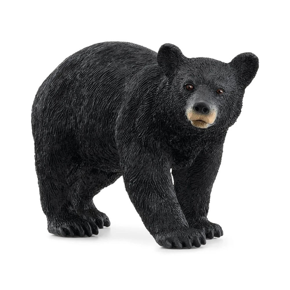 Schleich - American Black Bear - Good Games