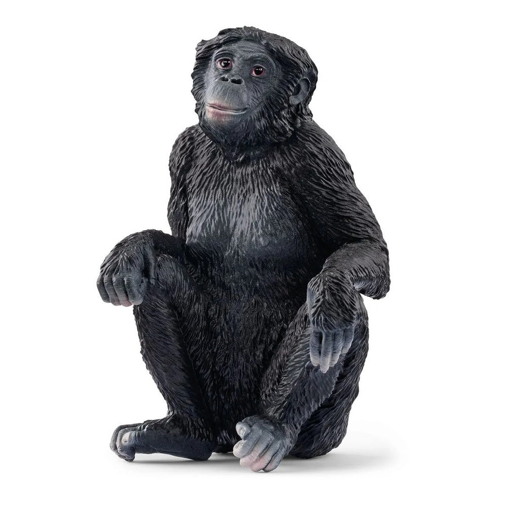 Schleich - Bonobo Female - Good Games