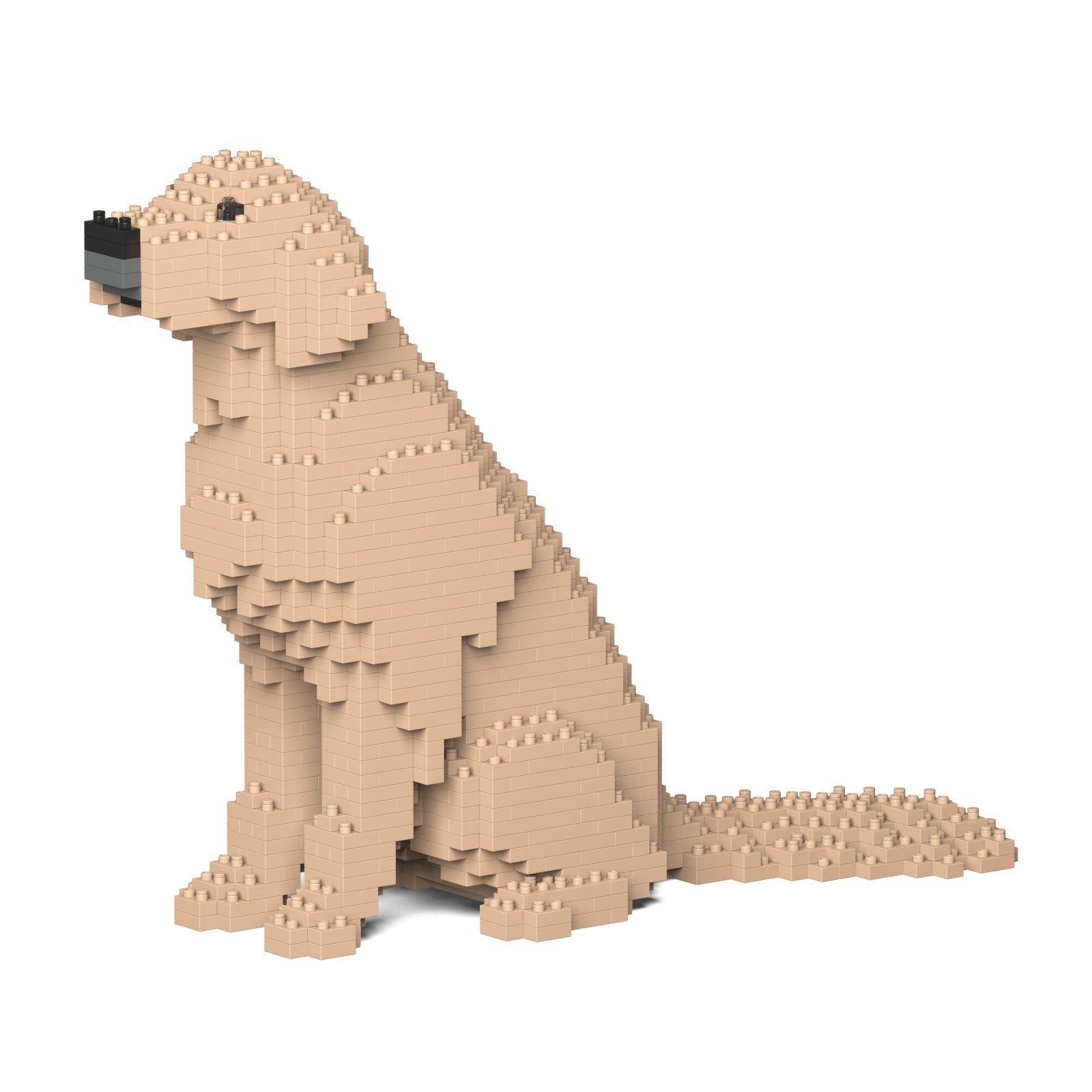Jekca - Golden Retriever - Small 03s-m03 - Good Games