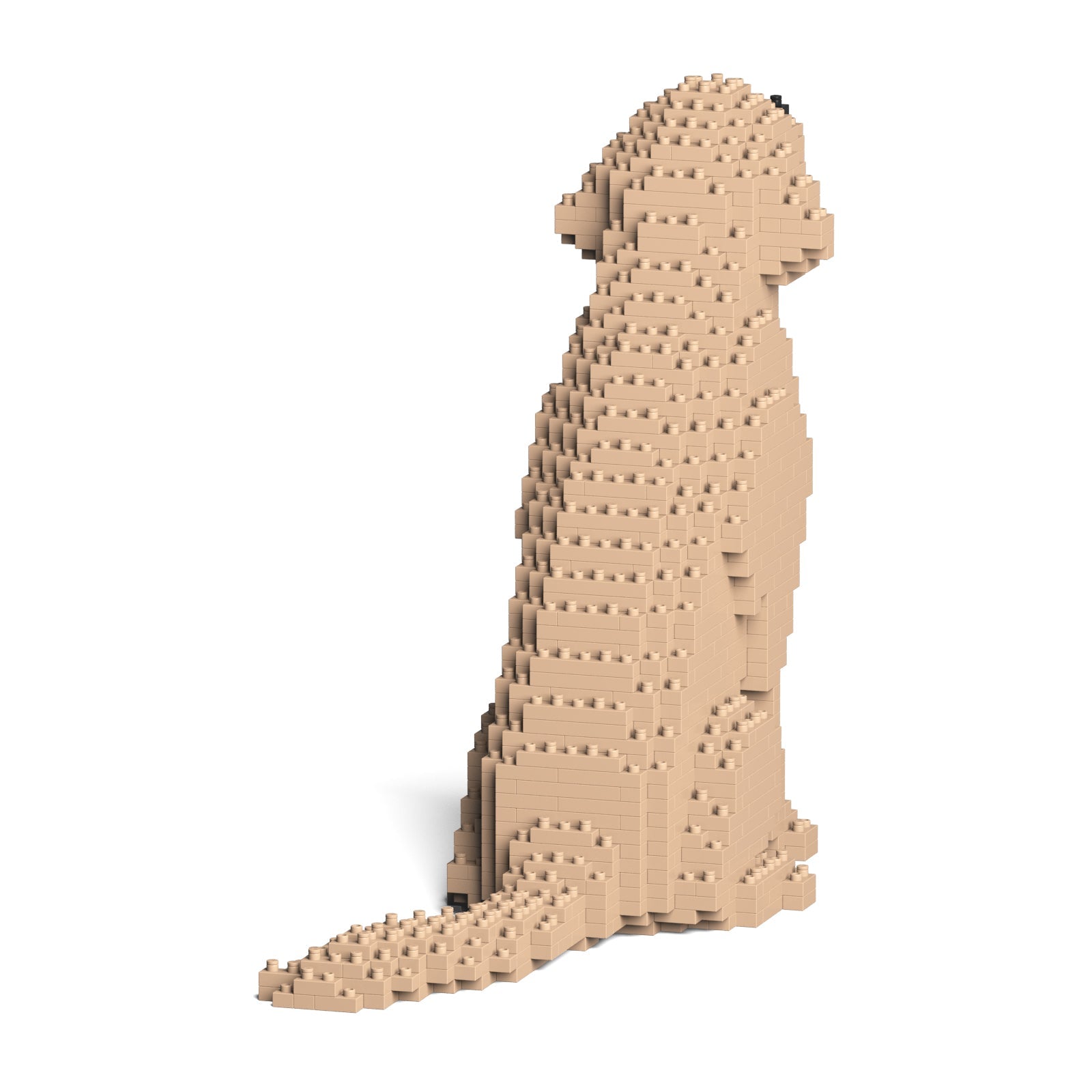 Jekca - Golden Retriever - Small 03s-m03 - Good Games