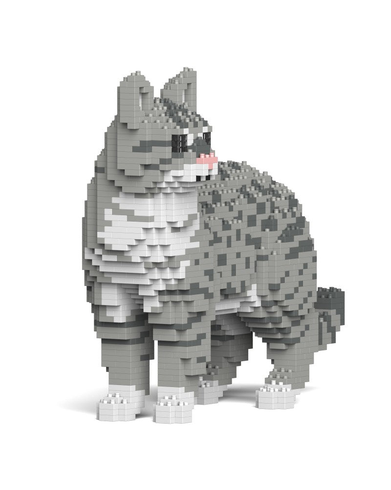 Jekca - Australian Mist 01S-M02
