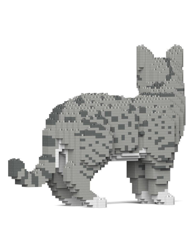 Jekca - Australian Mist 01S-M02