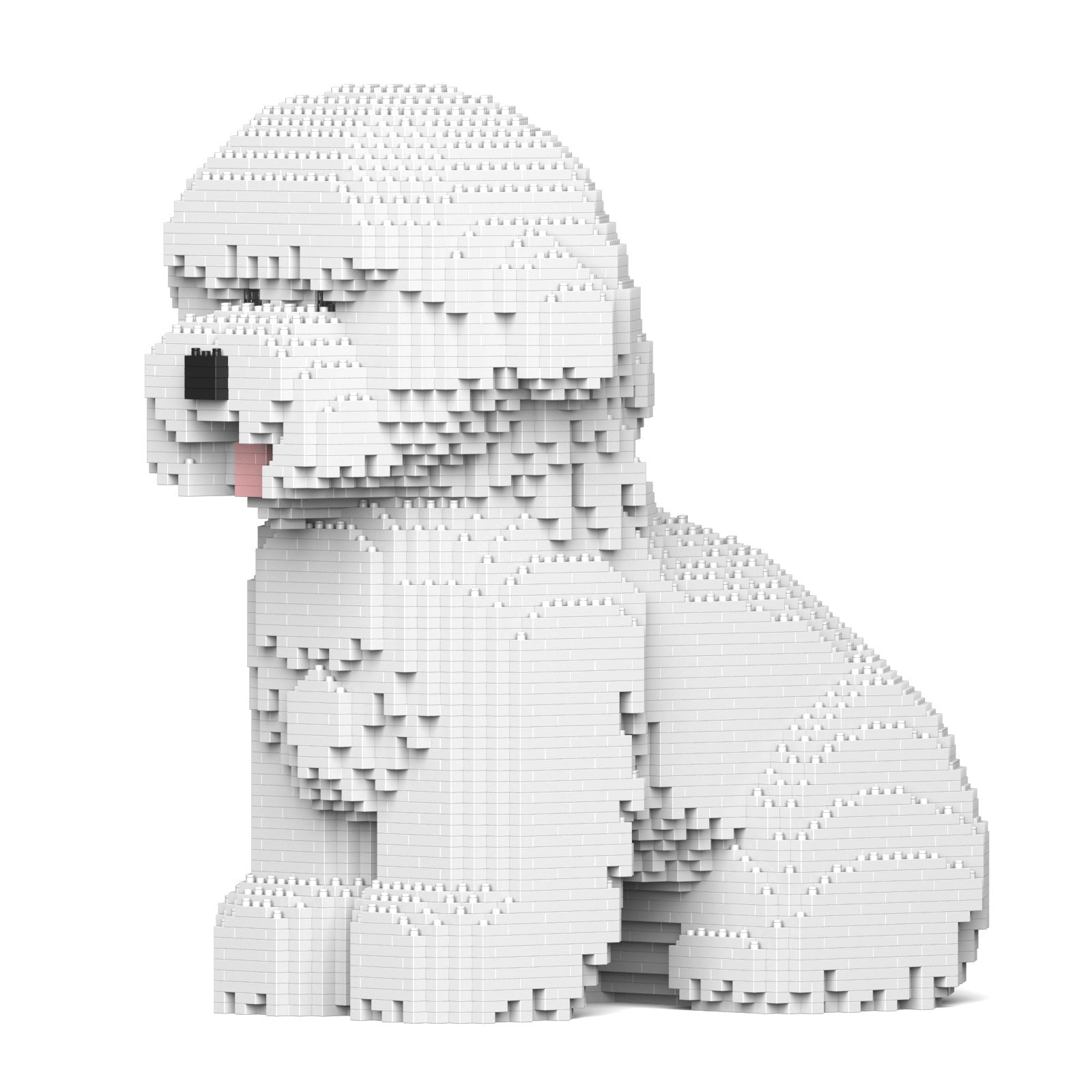 Jekca - Bichon Frise - 03s - Good Games