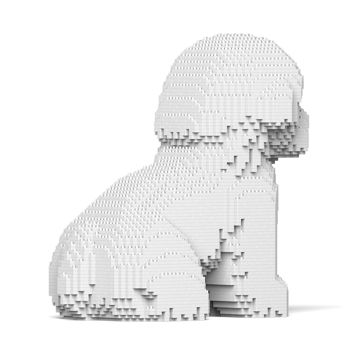 Jekca - Bichon Frise - 03s - Good Games