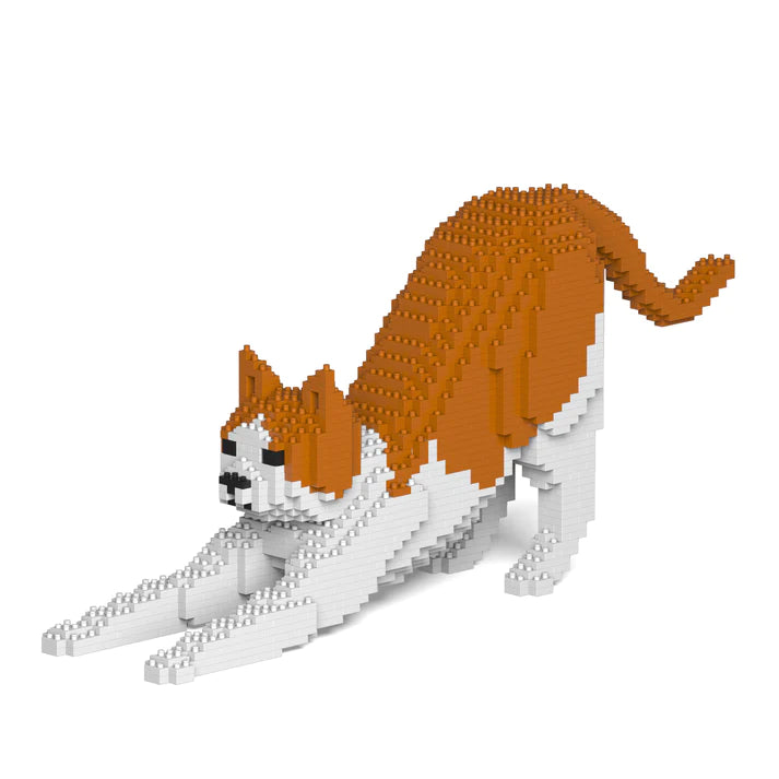 Jekca - Cat Small 13SM03