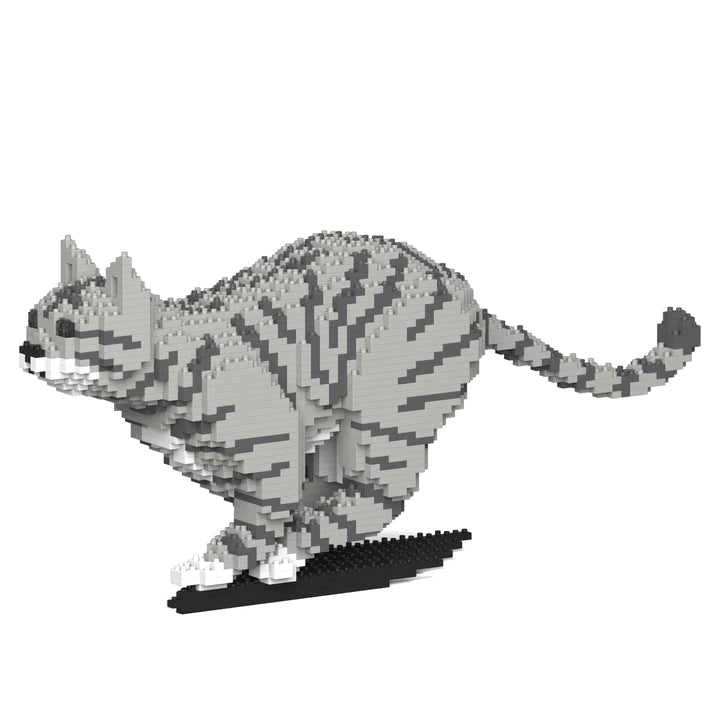Jekca - Cat - Small (18S-M03)