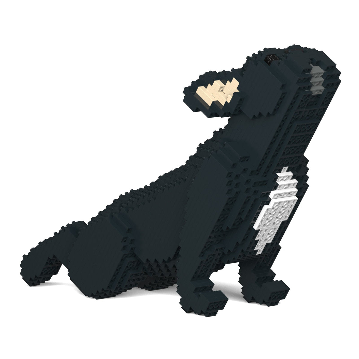 Jekca - French Bulldog - Small - 05s-m03 - Good Games