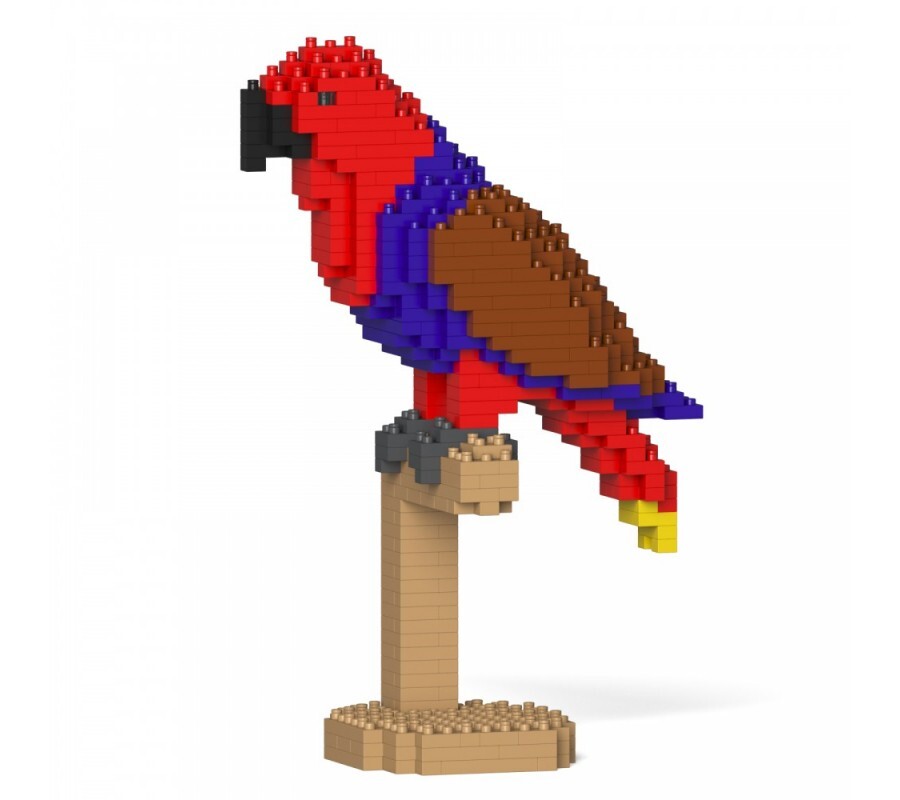 Jekca - Eclectus - Small 01s - Good Games