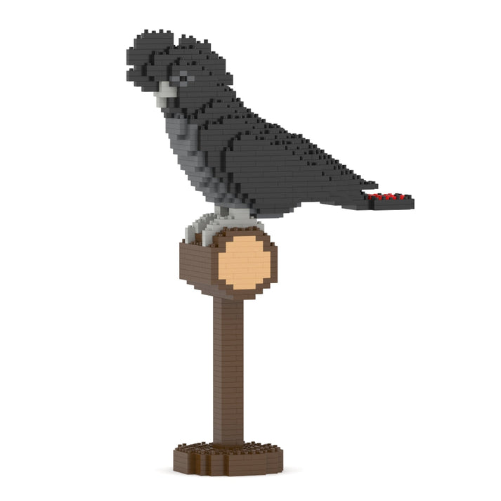 Jekca - Red-tailed Black Cockatoo 01S