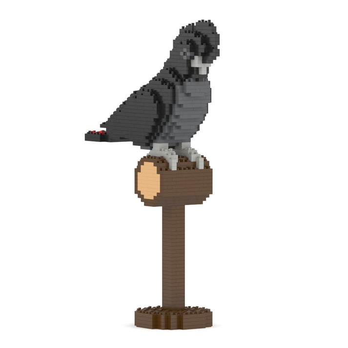 Jekca - Red-tailed Black Cockatoo 01S
