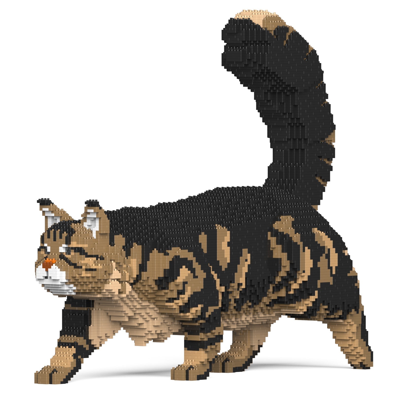 Block-built black and tan Maine Coon model walking with its tail held high