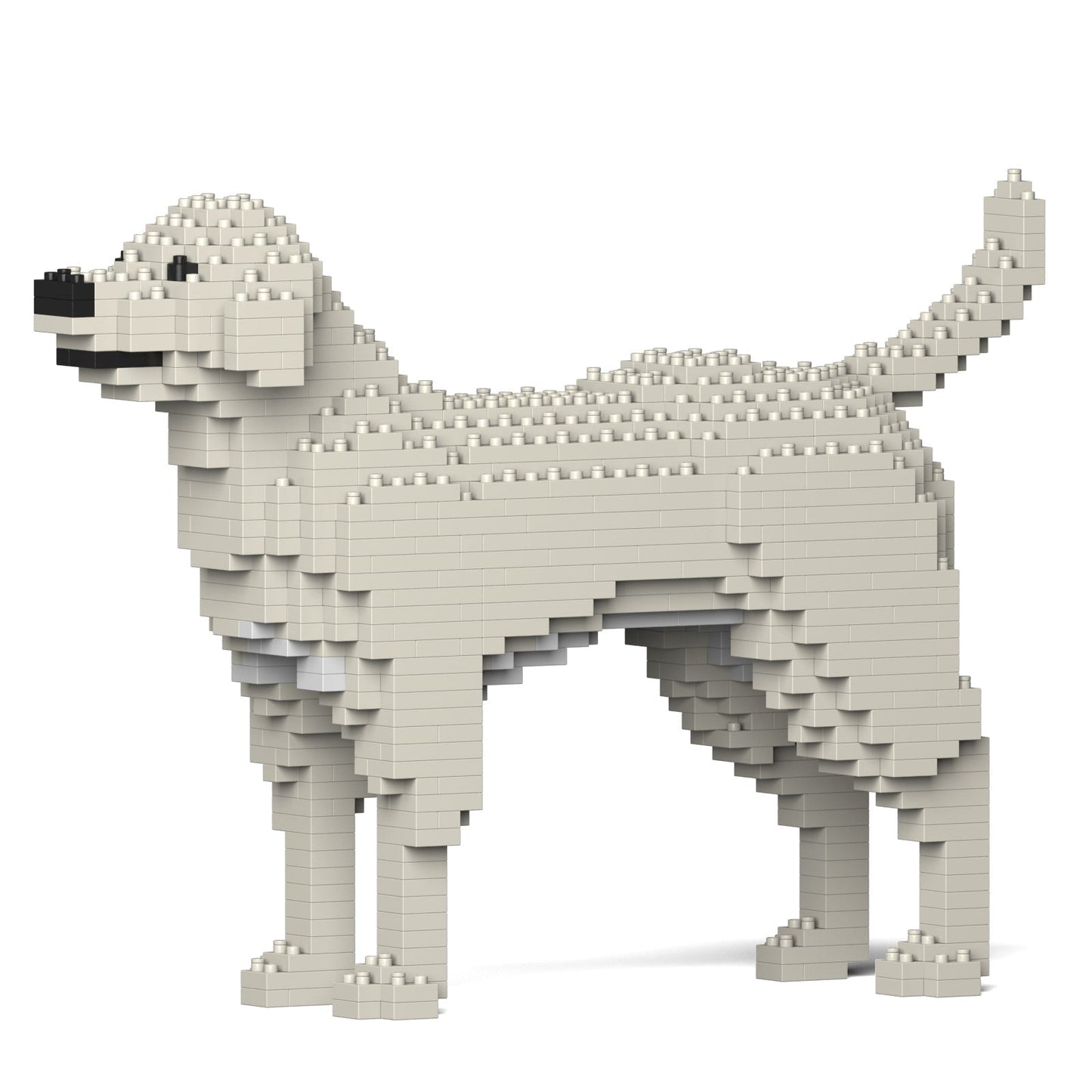 Standing Labrador Retriever figure built entirely from light gray plastic building bricks