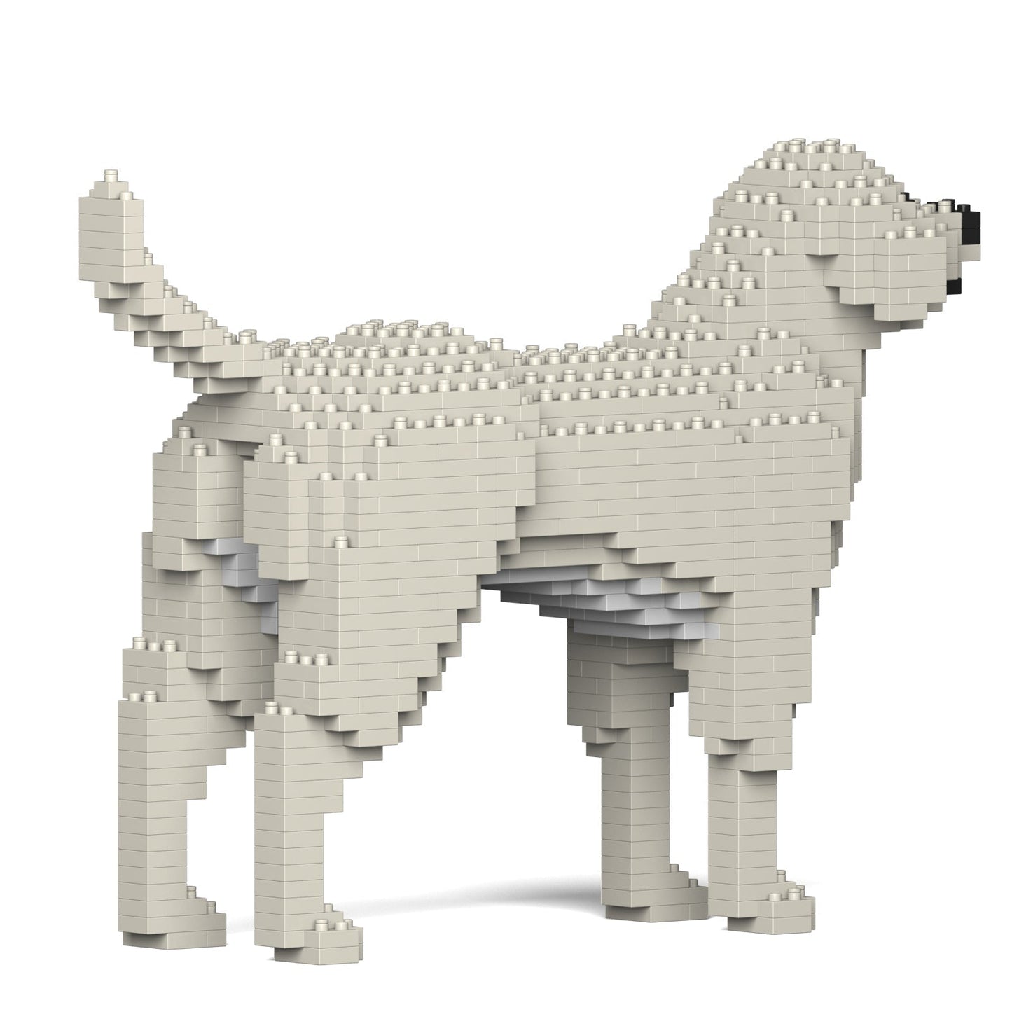 Standing Labrador Retriever figure constructed from light beige interlocking building blocks