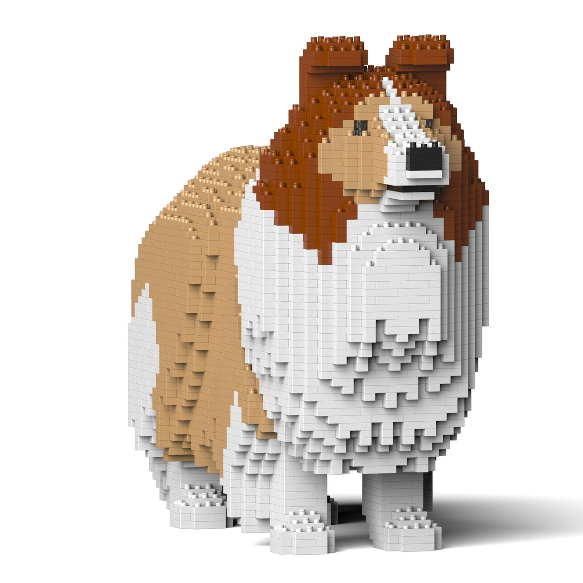 Jekca - Shetland Sheepdog 02SM01