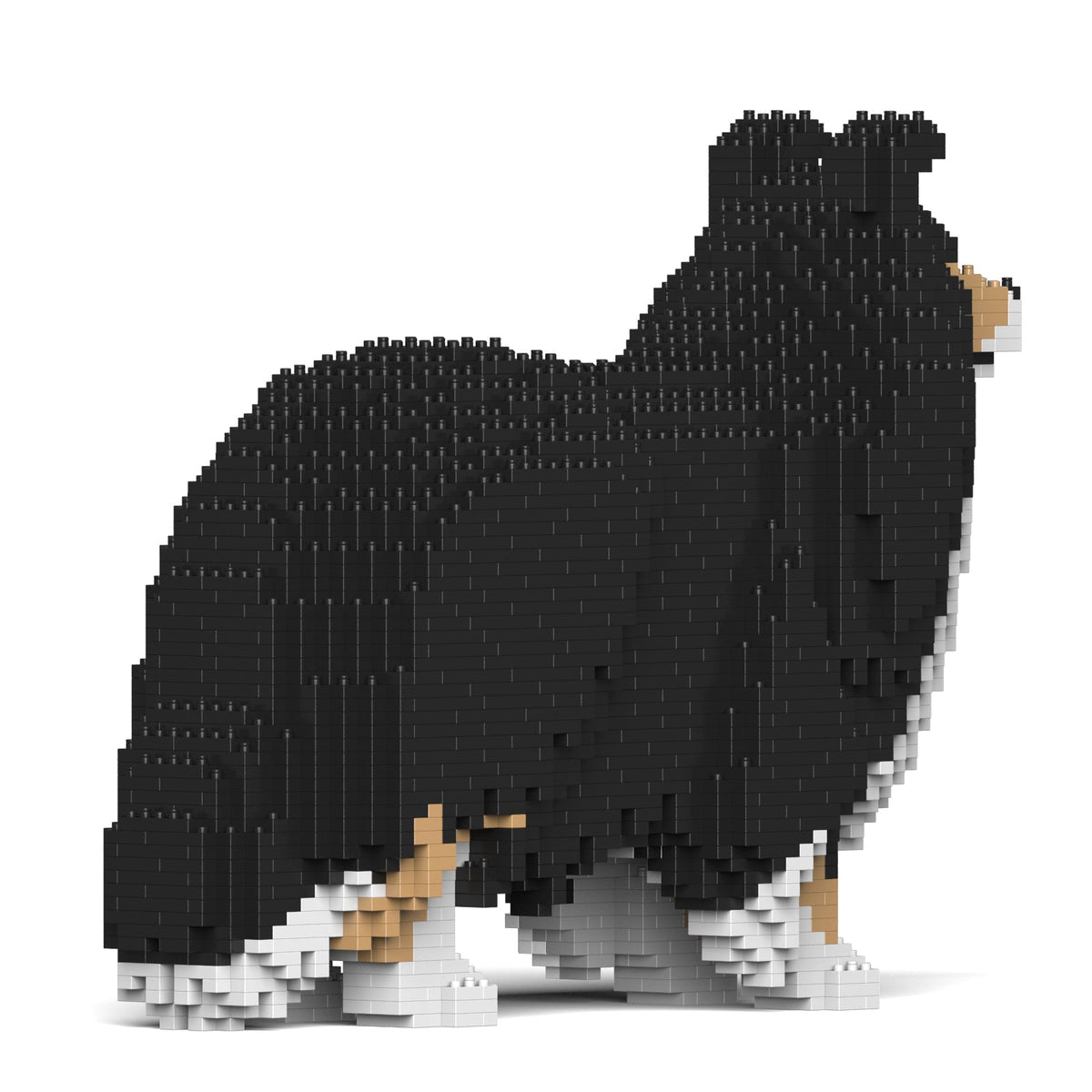Jekca - Shetland Sheepdog 02SM02 - Good Games